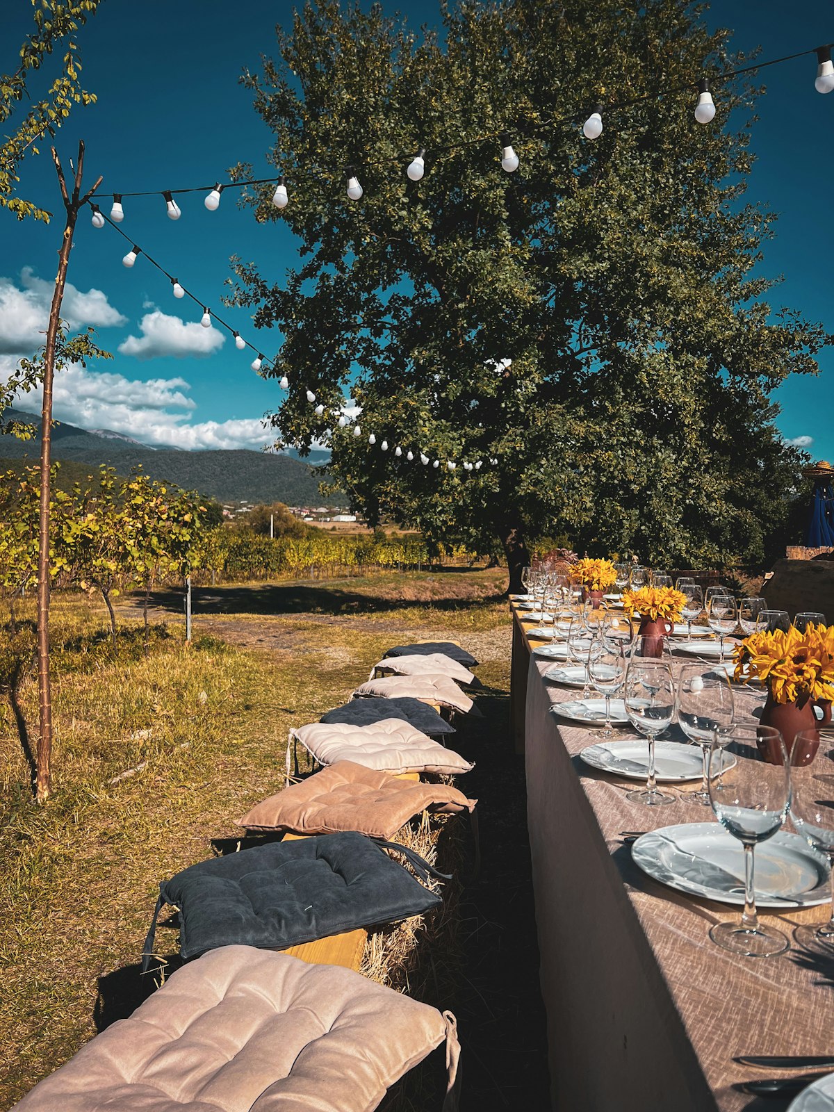 Vineyard wedding reception with warm linen-dressed tables